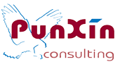 Logotipo Punxin Consulting